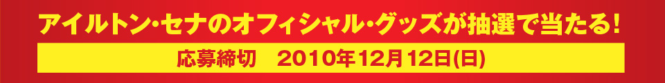 マクラーレン・ホンダ 1989 MP4/5 F1 展示 アイルトン・セナ